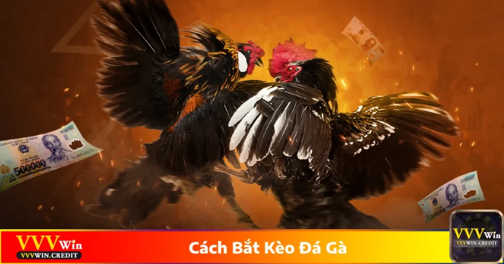 Cách nhận diện chiến kê mạnh để đặt cược đúng
