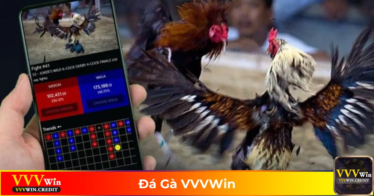 Đá Gà VVVWin – Cá Cược Đá Gà Trực Tuyến Với Tỷ Lệ Cao 1 Các Loại Hình Đá Gà Được Yêu Thích Nhất