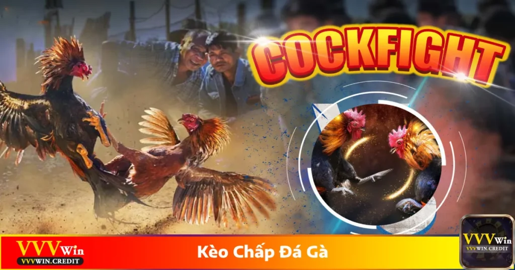 Kèo chấp đá gà là gì? Giới thiệu hệ thống kèo cược trên VVVWin